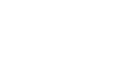 Garage Door Spring Replacement - icon